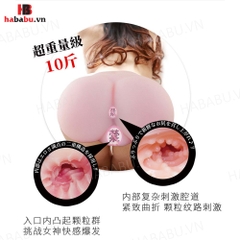 Âm đạo giả nguyên khối Drywell Mizuki Akane 5kg chính hãng
