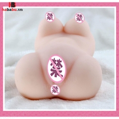 Âm đạo giả nguyên khối Drywell Mizuki Akane 1.2kg chính hãng