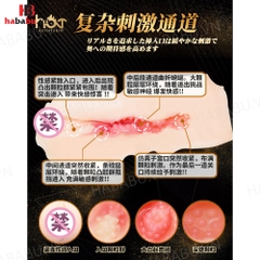 Âm đạo giả nguyên khối Drywell Mizuno Asahi 1.2kg chính hãng