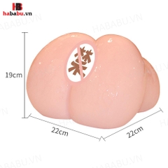 Âm đạo giả nguyên khối Drywell Asakura Yuu 3.6kg chính hãng