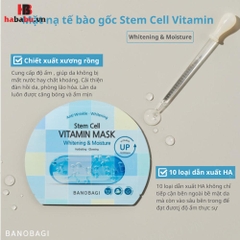 Mặt nạ Banobagi Stem Cell Whitening & Moisture set 10 miếng chính hãng