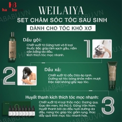 Bộ gội xả Hà Thủ Ô Weilaiya Zingiber 400ml + 250ml chính hãng