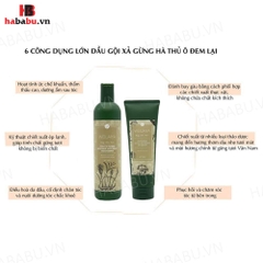 Bộ gội xả Hà Thủ Ô Weilaiya Zingiber 400ml + 250ml chính hãng