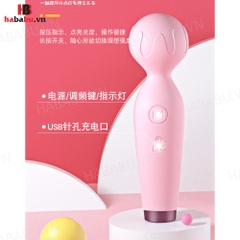 Chày rung Lilo Mini massage chính hãng