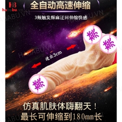 Dương vật giả Ailighter đa năng chính hãng
