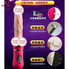Dương vật giả Ailighter đa năng chính hãng