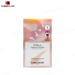 Kem che khuyết điểm Delicate Texture Concealer 2 Đầu 18ml chính hãng