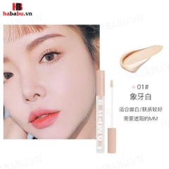 Kem Che Khuyết Điểm Lameila Concealer 3.3gr Chính Hãng