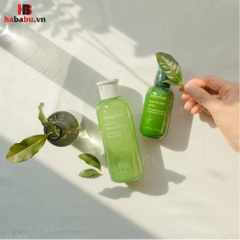 Nước hoa hồng Innisfree Green Tea Balancing Skin EX 200ml chính hãng