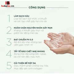 Sữa rửa mặt Caryophy Portulaca Cleansing Foam 150ml chính hãng