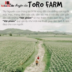 Tinh nghệ đỏ Toro 500gr chính hãng