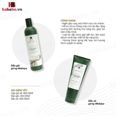 Bộ gội xả Gừng Trắng Weilaiya Ginger 400ml + 250ml chính hãng