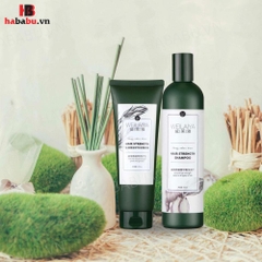 Bộ gội xả Gừng Trắng Weilaiya Ginger 400ml + 250ml chính hãng