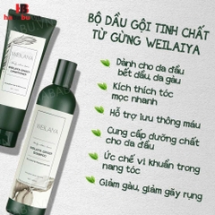 Bộ gội xả Gừng Trắng Weilaiya Ginger 400ml + 250ml chính hãng