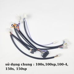 bộ dây gắn song song VOTOL cho xe VINFAST