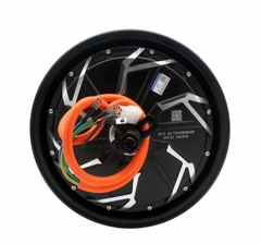 động cơ 3000w 12 inch DKYS