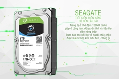 Ổ cứng HDD Seagate Skyhawk 6TB 3.5 inch, 5400RPM, SATA, 256MB Cache (ST6000VX001)