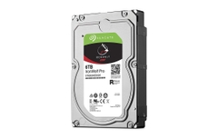 SEAGATE IronWolf Pro ST6000NE000 Dung lượng 6000GB (6TB) 3.5