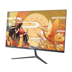 Màn hình máy tính E-DRA EGM24F1 23.8 inch IPS FHD 144Hz