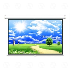 Màn chiếu treo tường DALITE P84WS (84” x 84”) - 120''