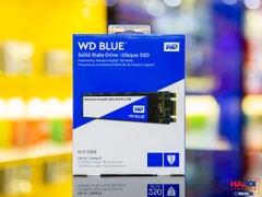 Ổ cứng SSD Western Digital WD Blue 250GB M.2 2280 SATA 3 - WDS250G2B0B