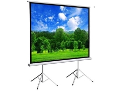 Màn chiếu chân đứng DALITE - P150TS - Tỉ lệ 4:3