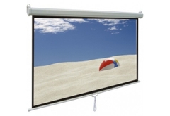 Màn chiếu treo Dalite PL150WS 170 inch