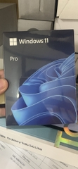 Phần mềm Windows 11 Pro FPP 64-BIT ENG INTL USB (HAV-00163)
