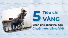 5 Tiêu Chí Vàng Chọn Ghế Công Thái Học Chuẩn Vóc Dáng Người Việt