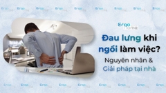 Đau Lưng Khi Ngồi Làm Việc - Nguyên Nhân Thực Sự và 6 Giải Pháp Không Cần Thuốc
