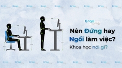 Đứng Làm Việc Có Tốt Hơn Ngồi Không? Khoa Học Nói Gì?