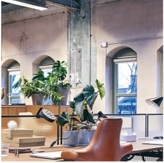 Chủ tịch Joe Rogan: Ông ấy sử dụng ghế văn phòng nào ?