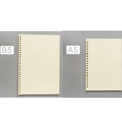 Ruột Giấy B5 Caro