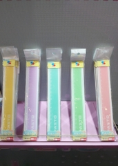 Thước thẳng 20cm Pastel SR-010