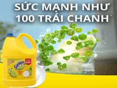 Nước rửa chén Sunlight Chanh 100 -  Can 3.48 lít