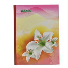 Tập khổ lớn GIDOSA