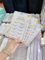 Lông Mi Giả Gân Trong Cao Cấp MUSE