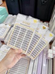 Lông Mi Giả Gân Trong Cao Cấp MUSE