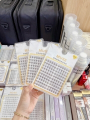 Lông Mi Giả Gân Trong Cao Cấp MUSE