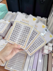 Lông Mi Giả Gân Trong Cao Cấp MUSE