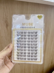 Lông Mi Giả Gân Trong Cao Cấp MUSE