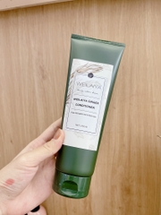 Cặp dầu gội xả gừng kích mọc tóc Weilaiya Ginger