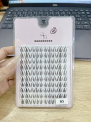 Mi giả
