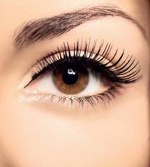 Mascara collagen The Face Shop