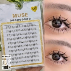 Lông Mi Giả Gân Trong Cao Cấp MUSE