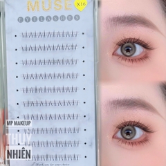 Lông Mi Giả Gân Trong Cao Cấp MUSE