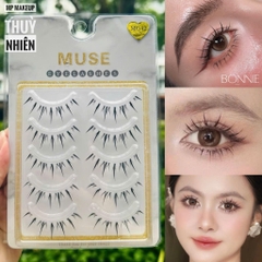 Lông Mi Giả Gân Trong Cao Cấp MUSE