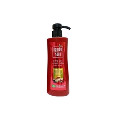 Dầu Gội Nguyên Xuân Dưỡng Tóc Herbal Shampoo 520G