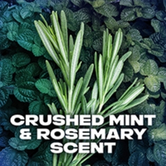 Xịt Khử Mùi Cơ Thể AXE Body Spray 113 G