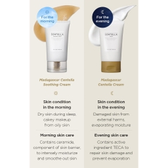 Kem dưỡng rau má hỗ trợ giảm mụn, phục hồi da Skin1004 Madagascar Centella Asiatica 75g